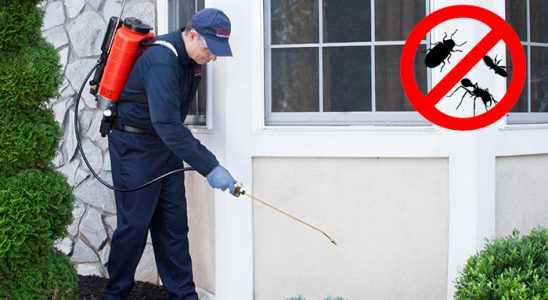 Gelibolu Fare İlaçlama böcek ilaçlama ve haşere kontrolü — ilaclama-tr.com